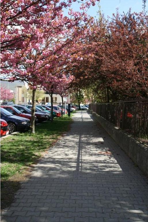 Hotel Oko Nyitra Kültér fotó